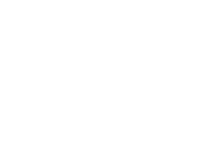 Item 5