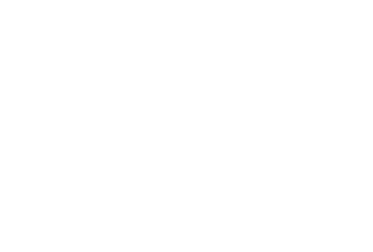 Item 6